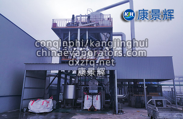處理量10T/H硫酸鈉蒸發(fā)結晶器
